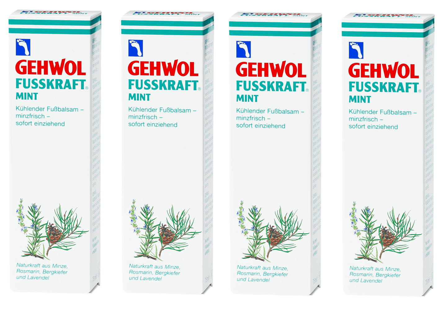 Gehwol Fusskraft Mint 500 ml i 4x 125 ml tuber